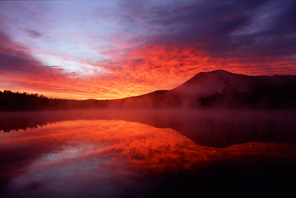 daicey pond